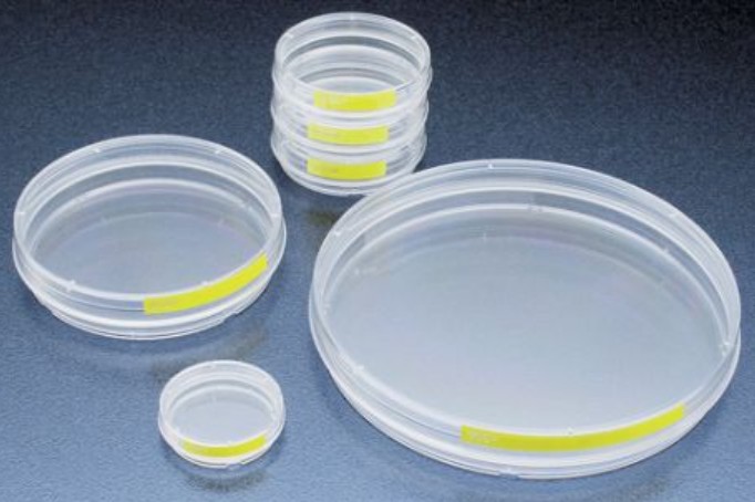 PROMO Tissue culture dish  40 mm / 9.2 cm