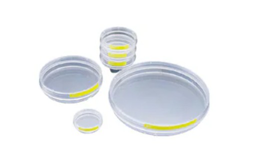 PROMO Tissue culture dish  60 mm / 22.1 cm 1 x 1/1 case