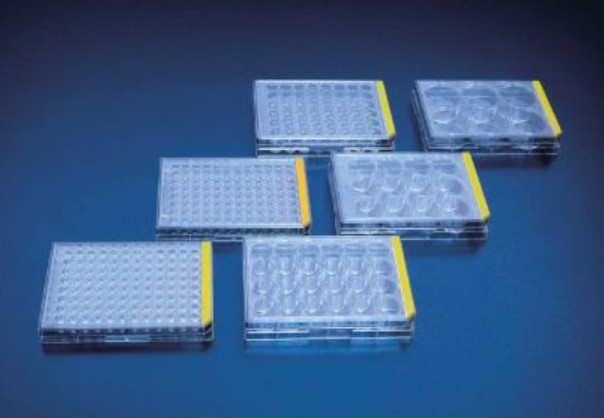 PROMO Tissue culture test plate, 12 wells 1 x 1/1 case