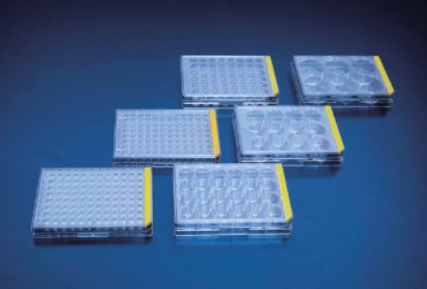 PROMO Tissue culture testplate 6 wells, small packaging unit 42 pcs / case