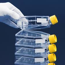 PROMO Tissue culture flask 150 cm² / vent screw cap