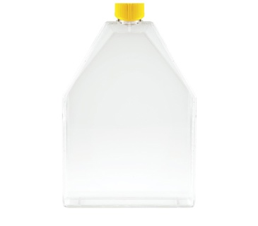 PROMO Tissue culture flask 300 cm² / vent screw cap