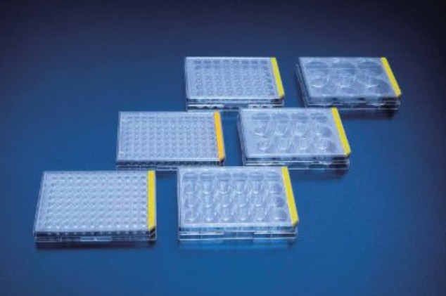 PROMO Tissue culture test plate, 12 wells (4 pcs)