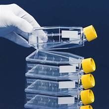 [PROMO-TPP31] PROMO Tissue culture flask 25 cm² / vent screw cap